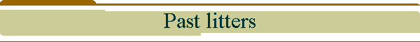 Past litters